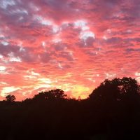 September Sky 2016 650 Pxl